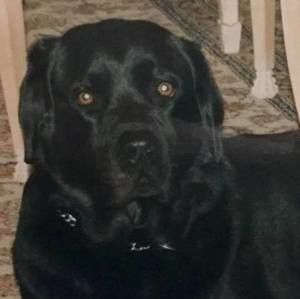 Meet your Posher, Hilary